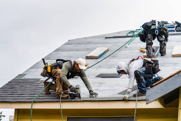 Professional Gutter Installation technician working in Borup, MN